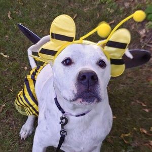 Meet your Posher, Emma